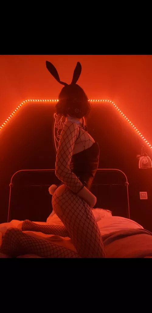 bunny was late to Easter sorry !