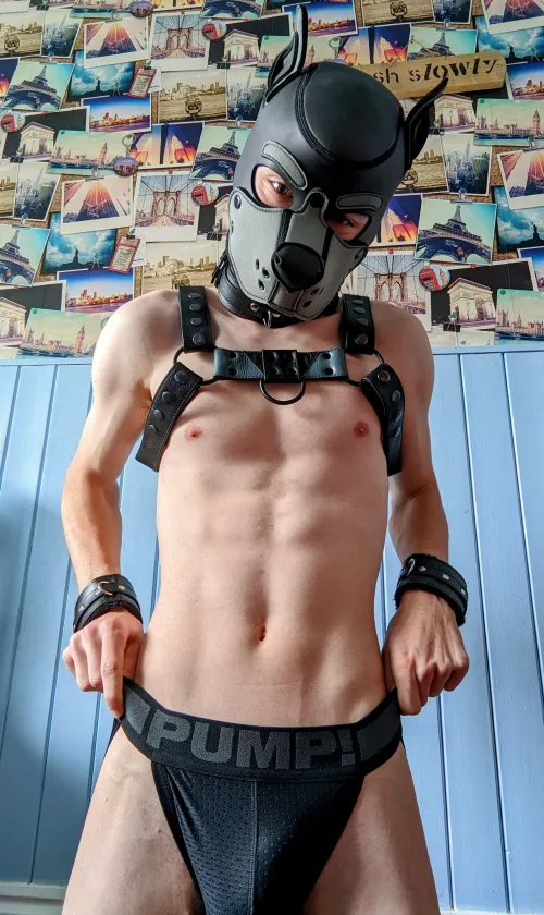 Can anybody help pup with these? 🥺