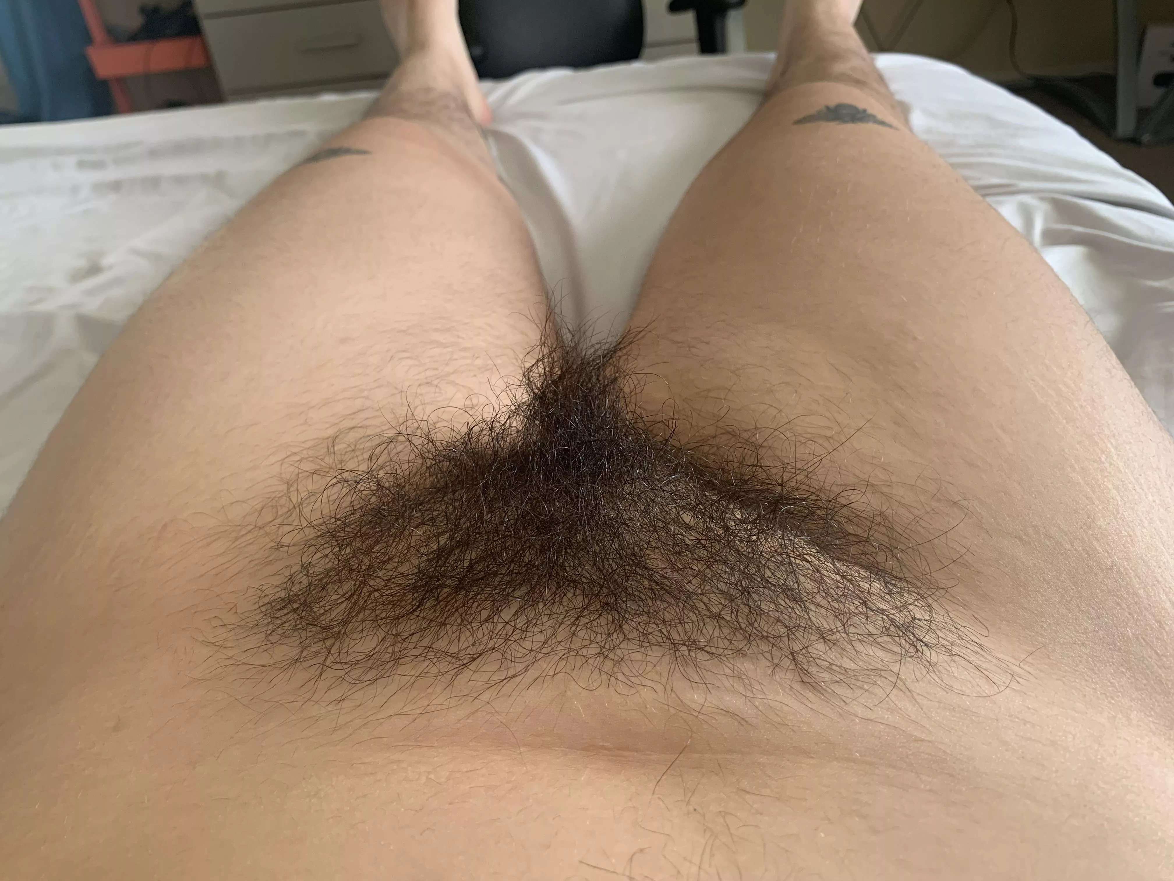 Can I tickle your nose with my bush?