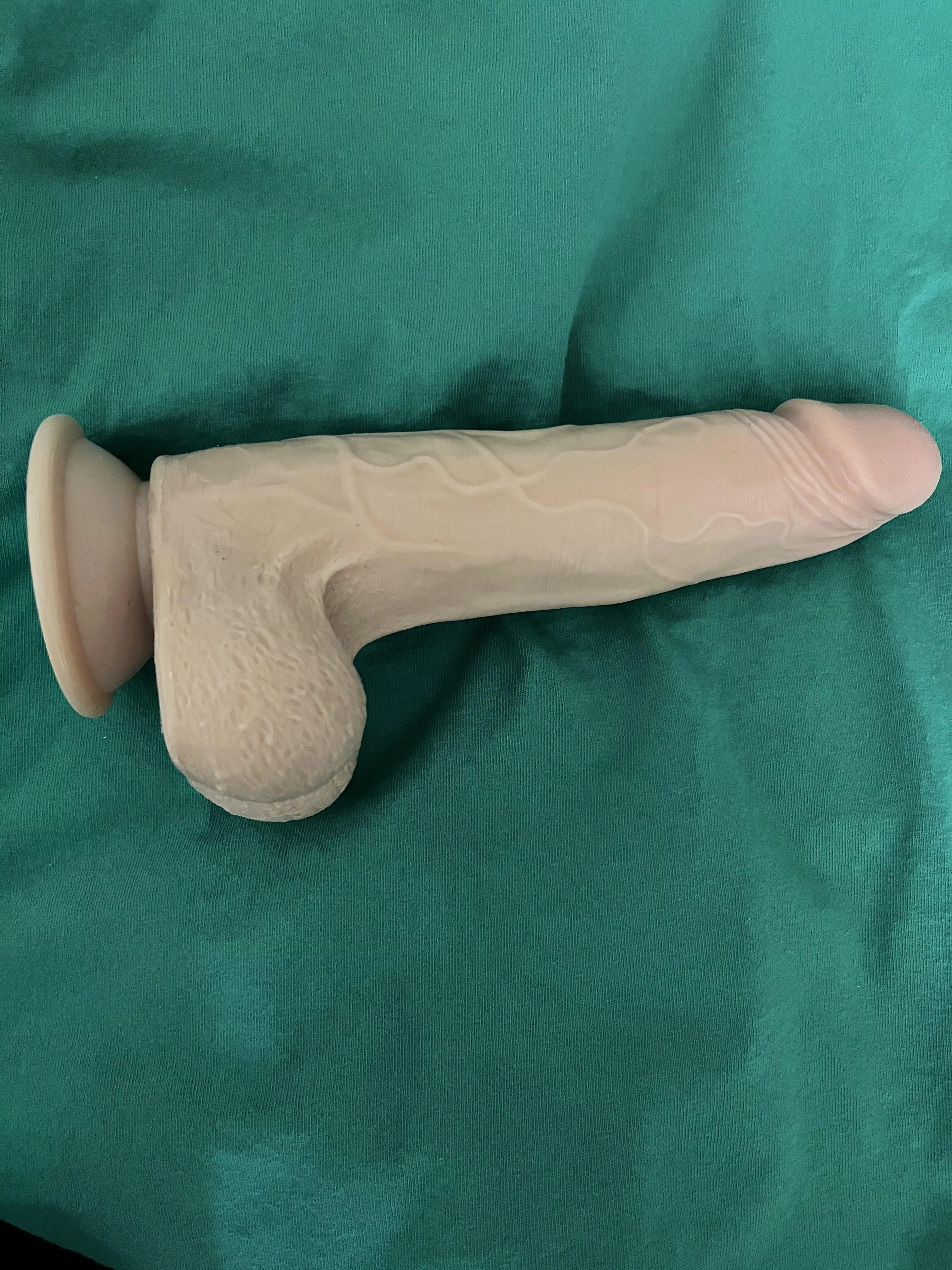 Can someone please help me find a new one of these?!