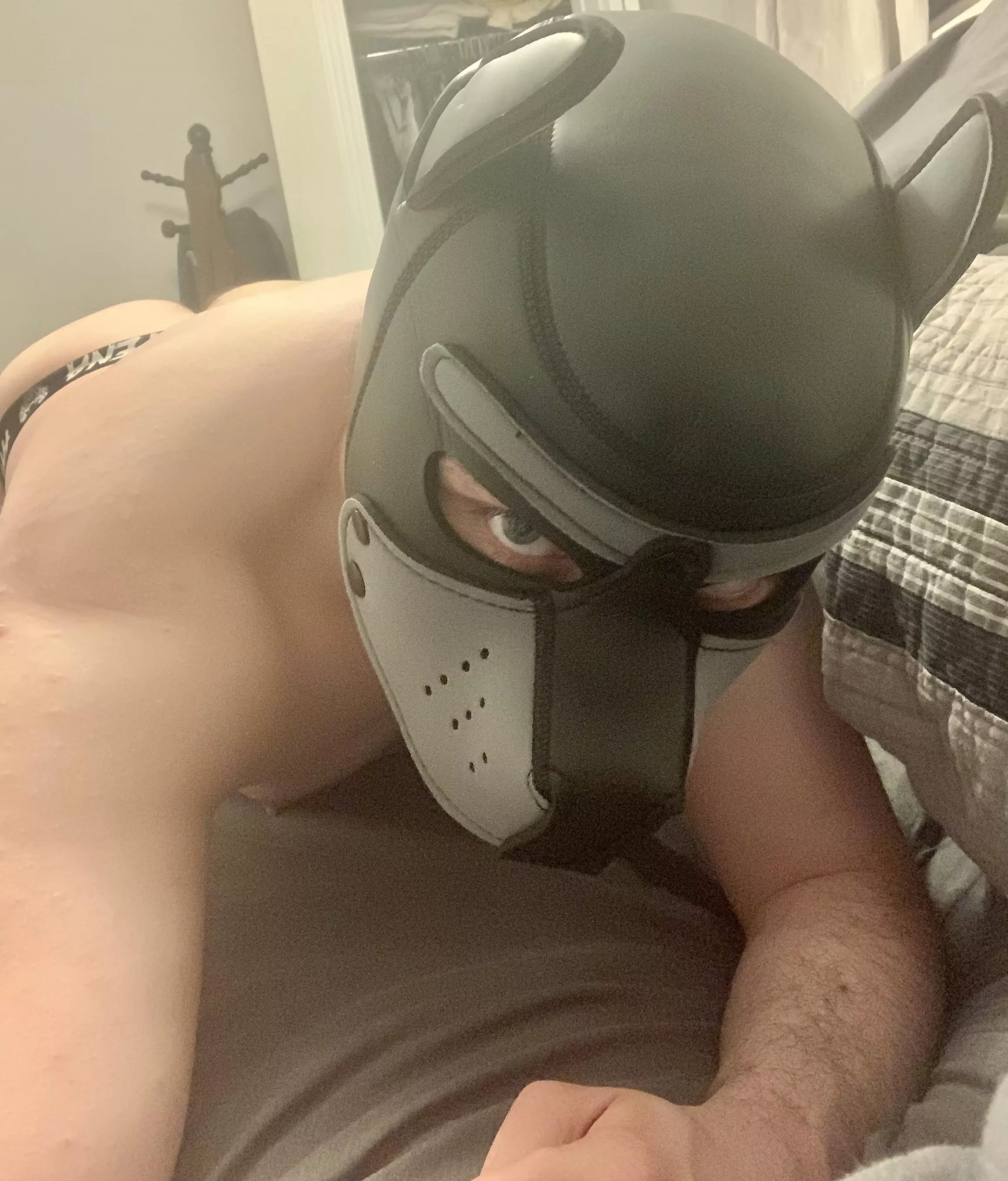 Can you see the tail?