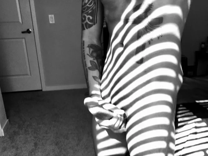 Can’t tell if it’s an artsy nude, or a zebra cosplay