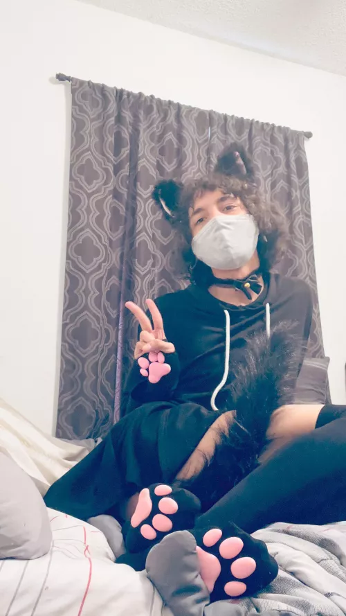 Cat boy in bed 🐱✨