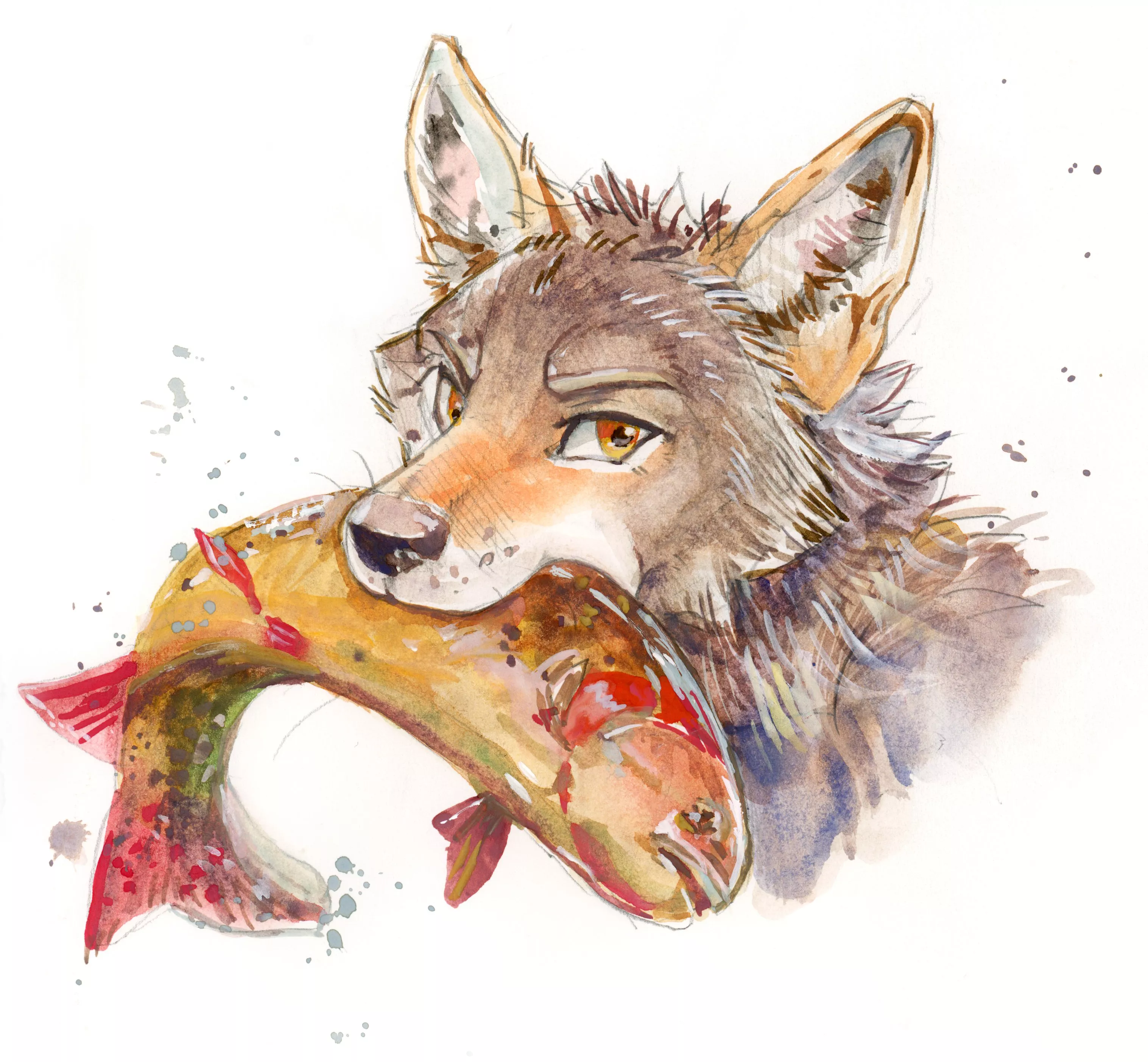 Catched tonight's dinner ! (My art, watercolor. @akatan_art on Twitter/insta)