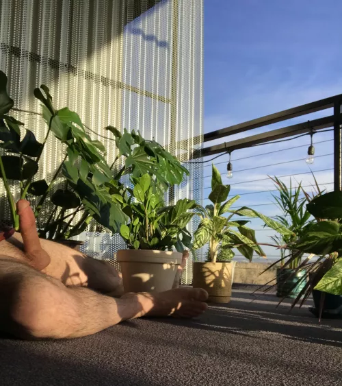 Catching some morning rays ☀️ on the patio with my 🪴’s. Hope the city got a good view 🌆😼