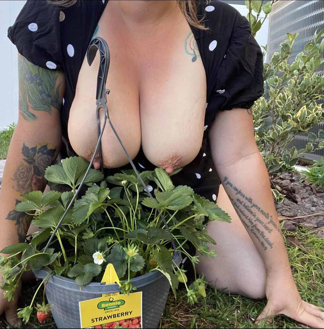 Changing it up, since it’s earth day let’s enjoy some of those strawberries