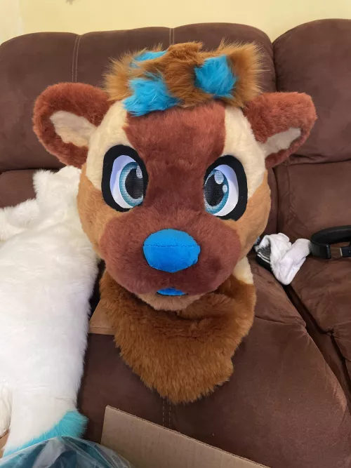 Check out the otter I made for myself! I’m also open for commissions! DM me here or follow me on twitter @stitchupsuits