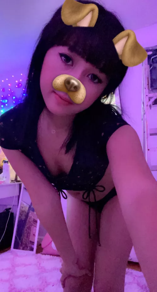 🖤 classic black panties