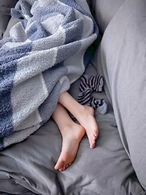 Come cuddle up next to my feet