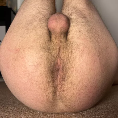 Hairy Butt Photo