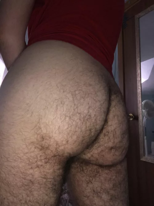 Come grab it, boy. I know you want it