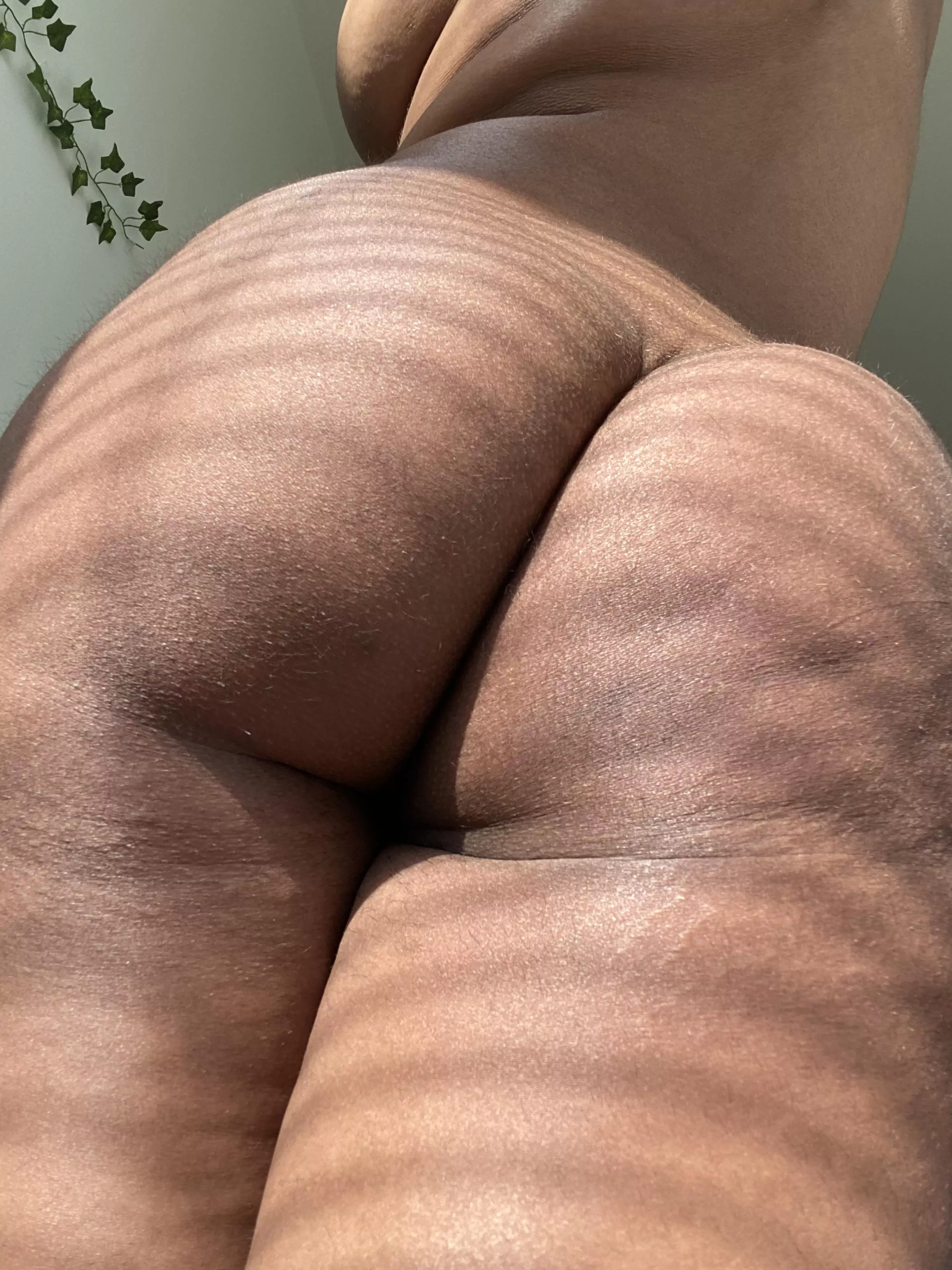 Come worship this ass