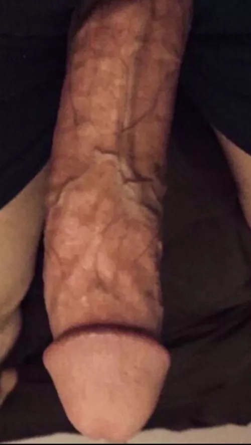 Comment if you want to get fucked by this huge cock