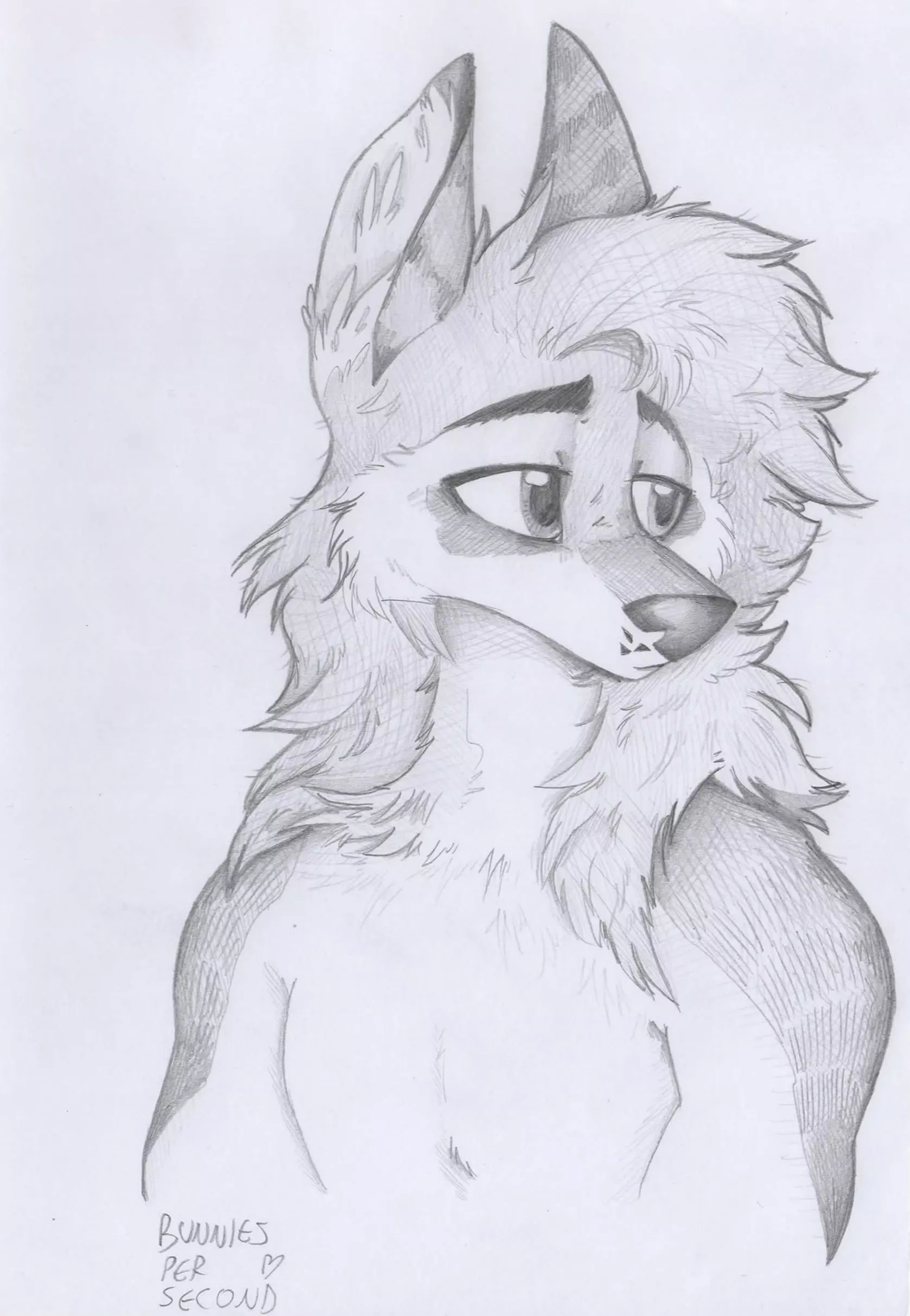 Commission for Orion the Wolf! (art like this is 20 usd :3)