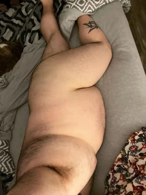 Could us a cuddle buddy…or two.