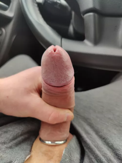 cruising at the local rest area