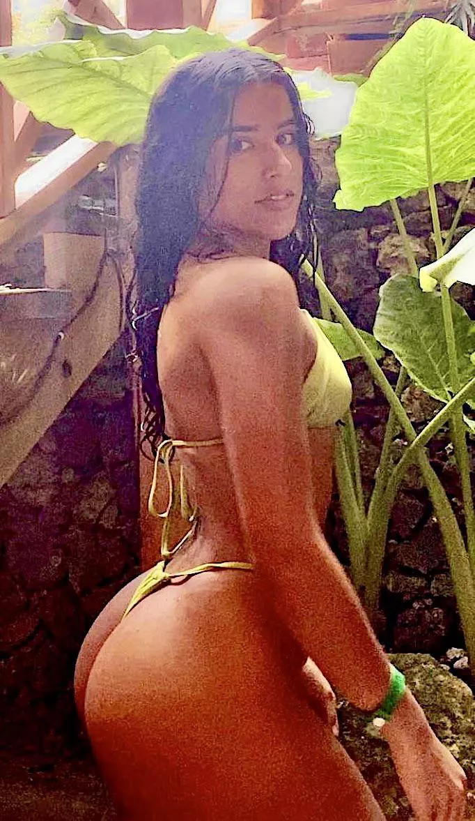 CULOTE