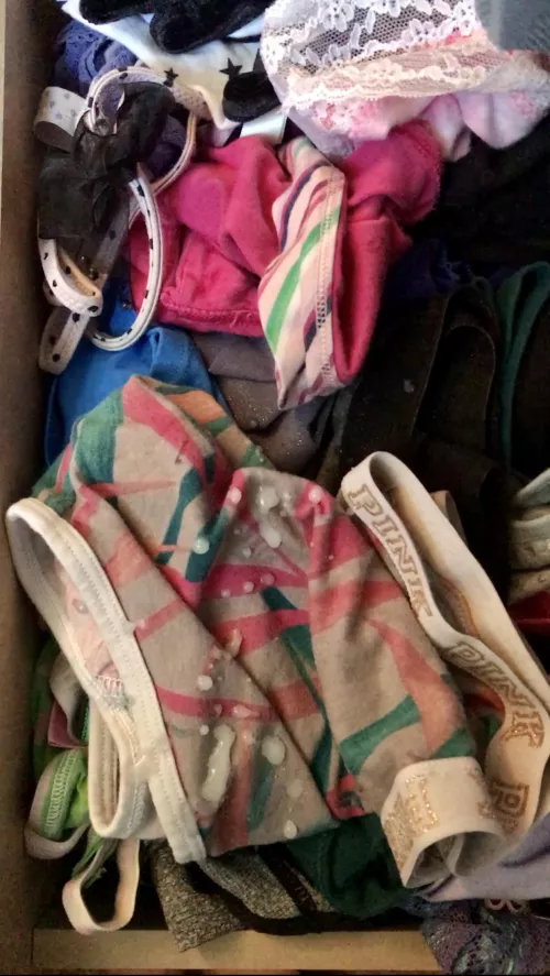 Cum in wife's panty drawer