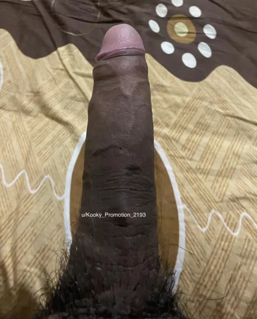 Cum let me breed your raw pussy