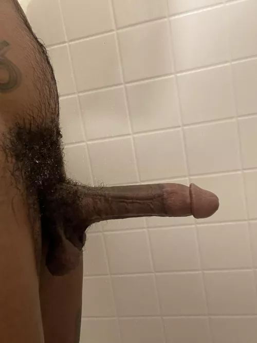 Cum pull back my shower curtain