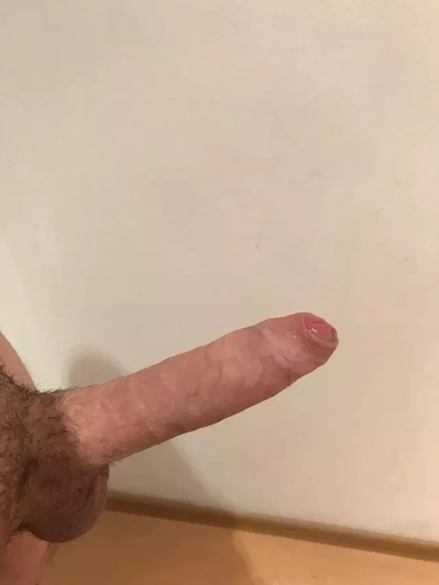 Curious what you think