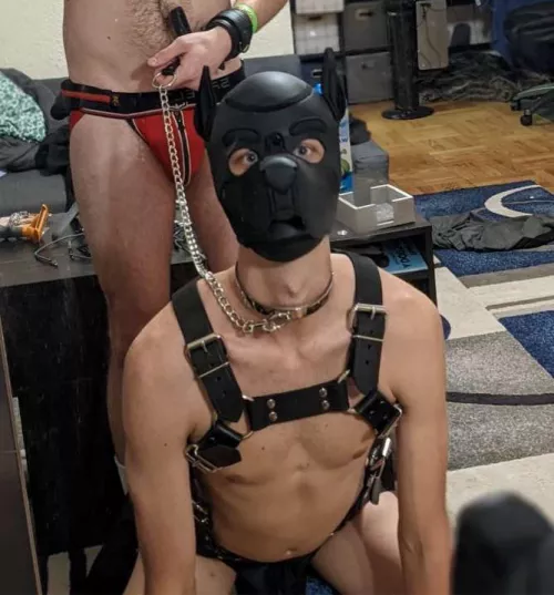 Currently up for adoption! (23m)