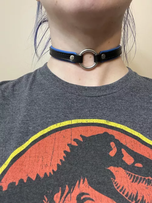 Daddy bought me a new collar :) Do you like the blue? [f]