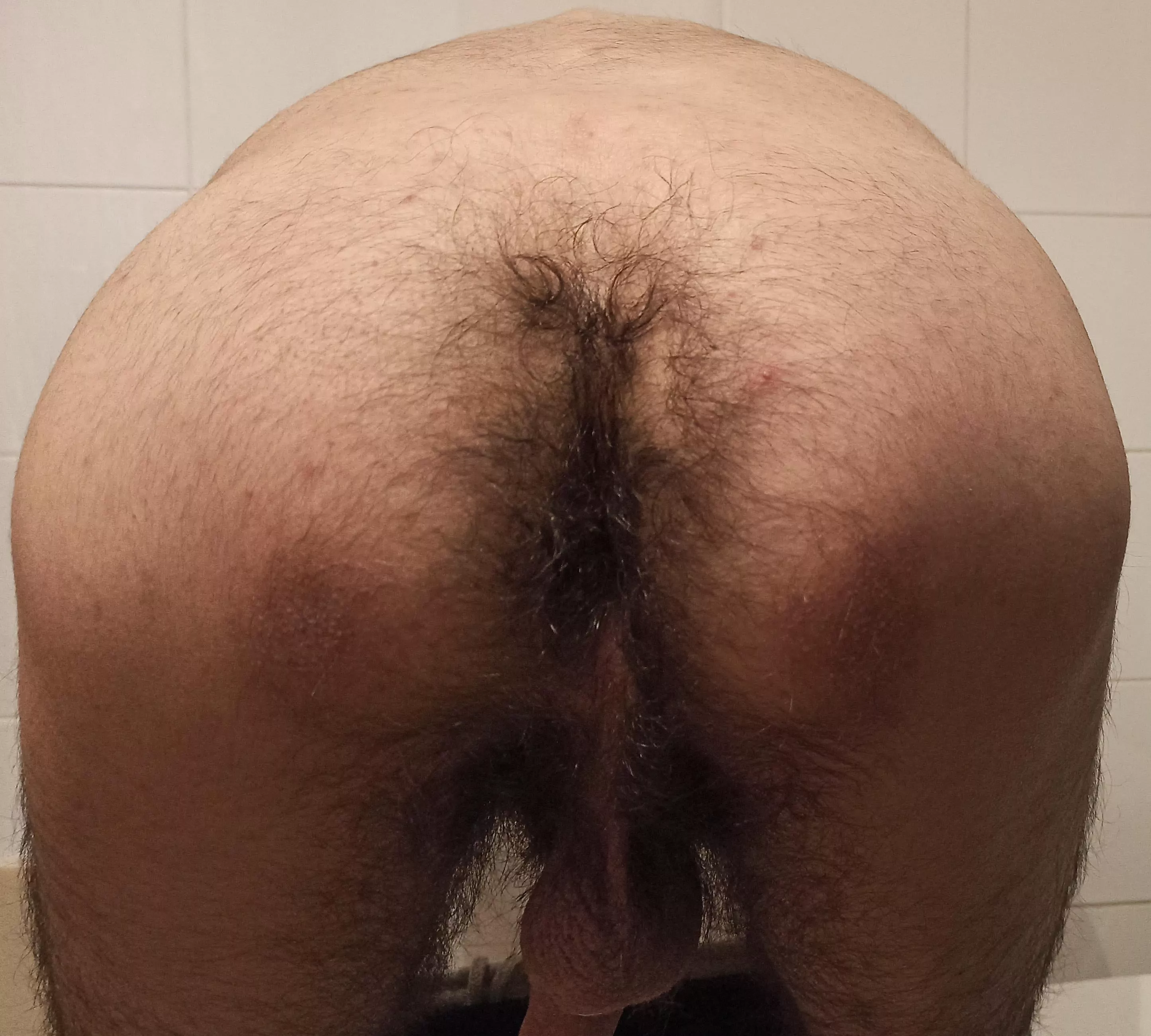 Damn my ass is so hairy. Wish had you here to help.