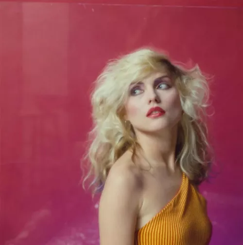 Debbie Harry, 70s. I bet so many boys jerked off to posters of her. Thoughts?