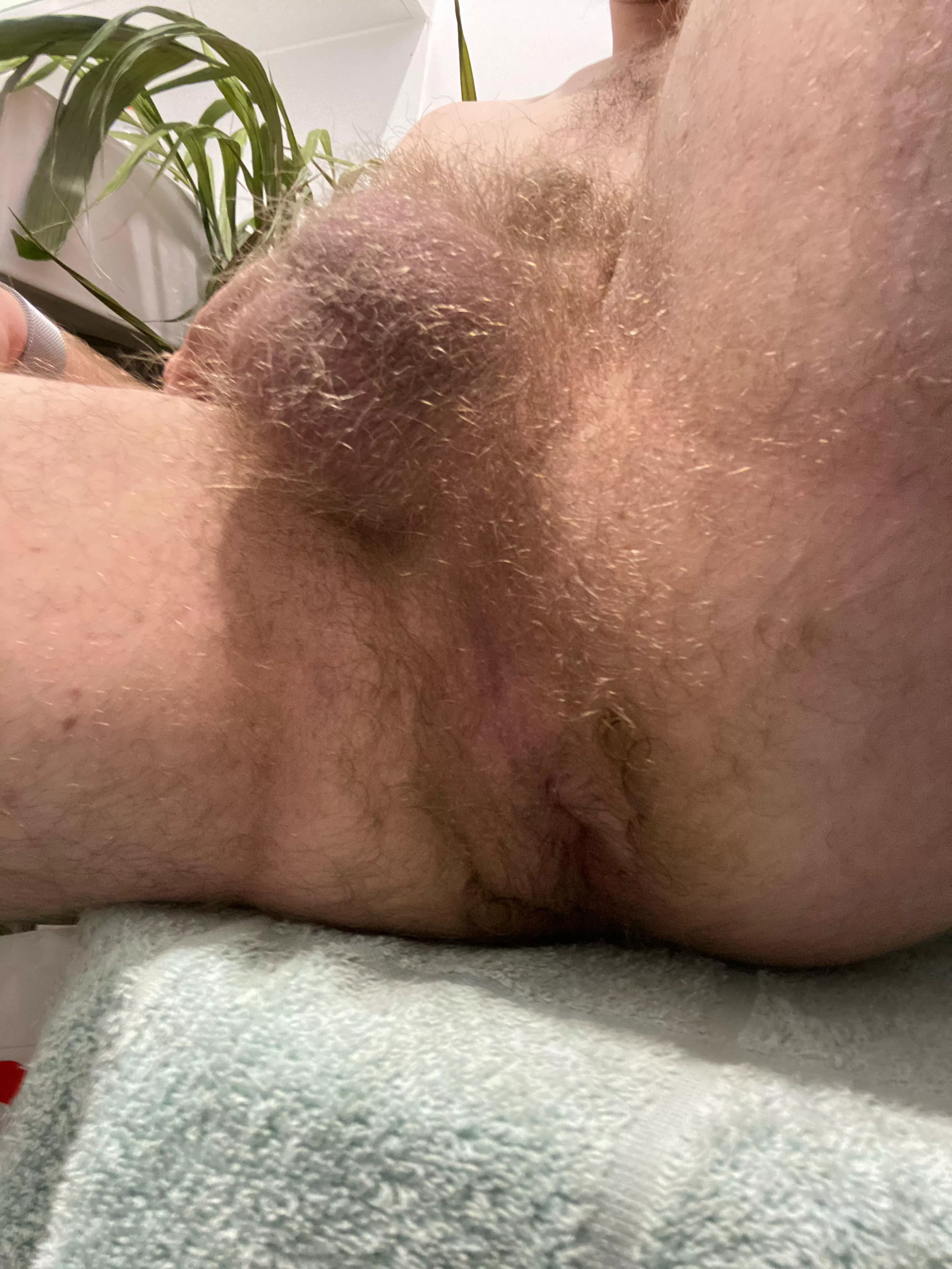 Dm me if you’d lick it 😈