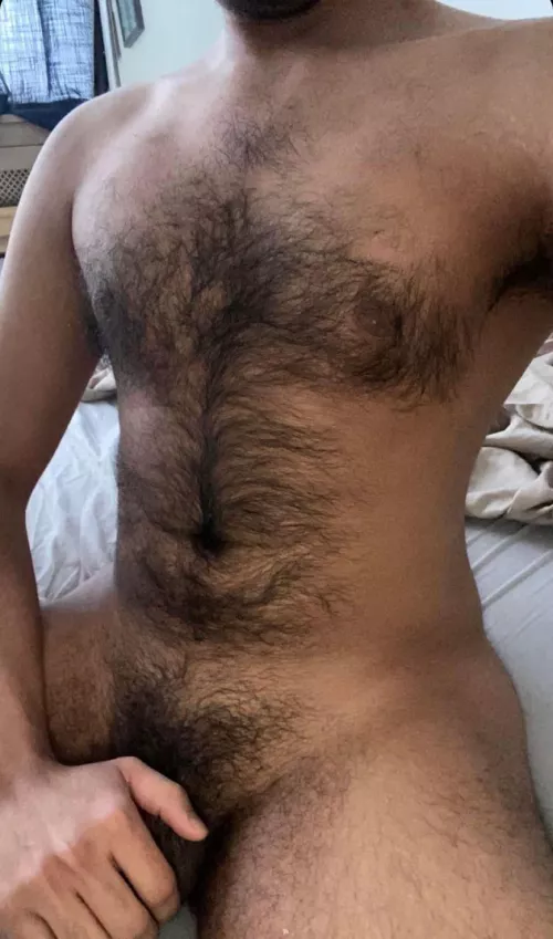 Do we like hairy Gaybros?