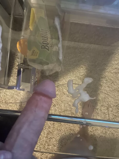 Do y’all care for this type of pic?