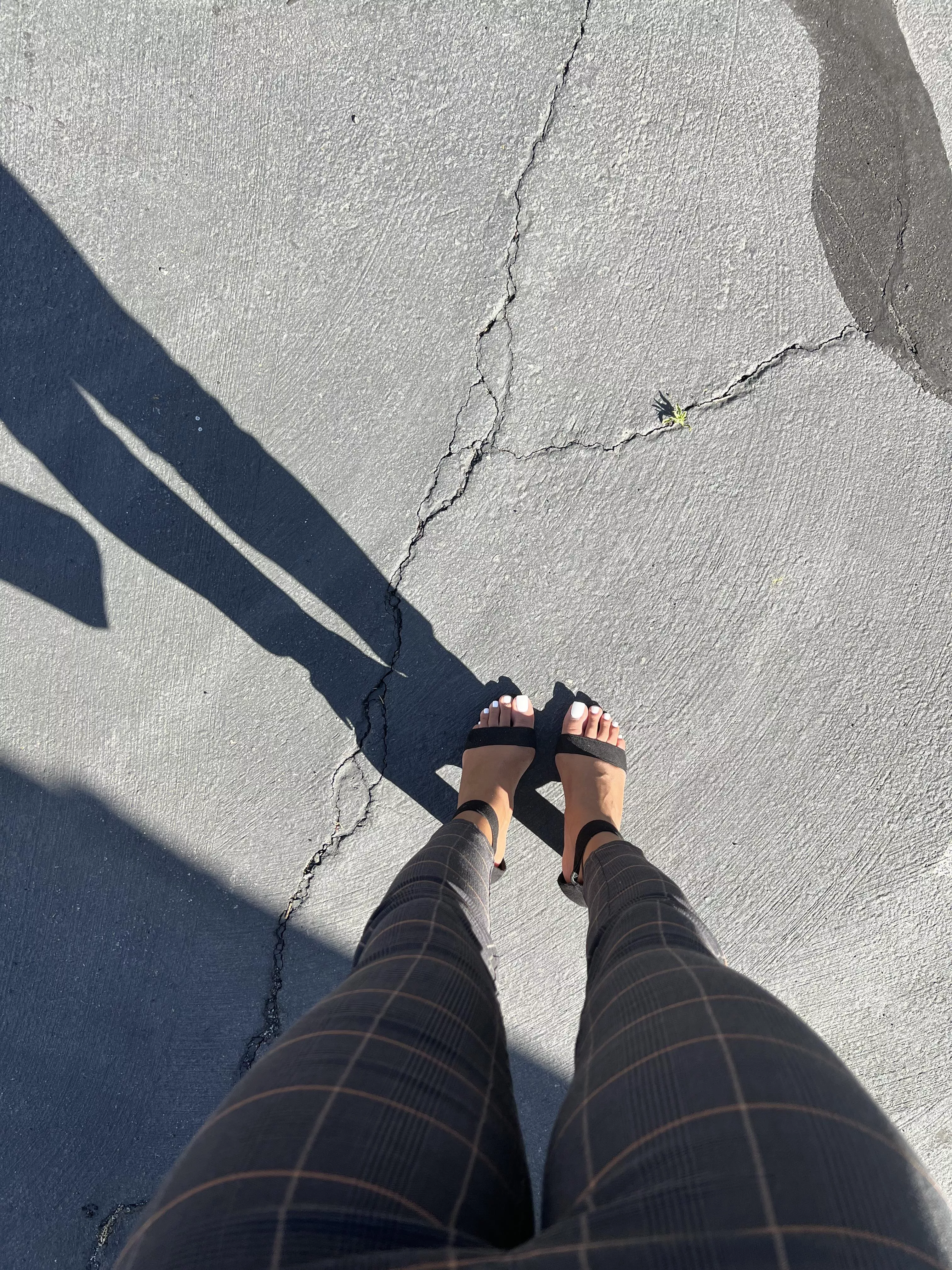 Do you like long legs?