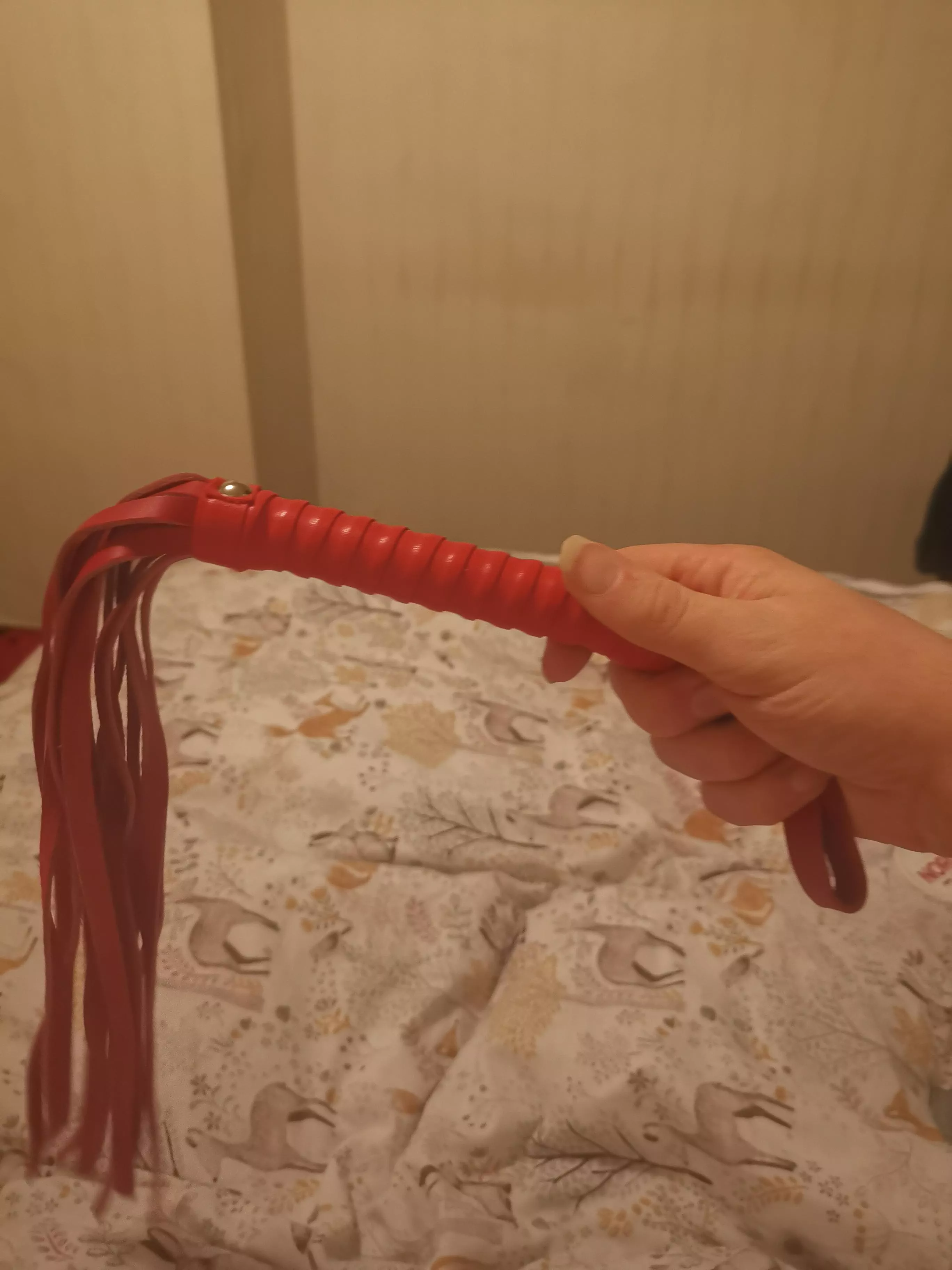 Do you like my new whip a cat a Ninetails used if I disobey Mistress Belina