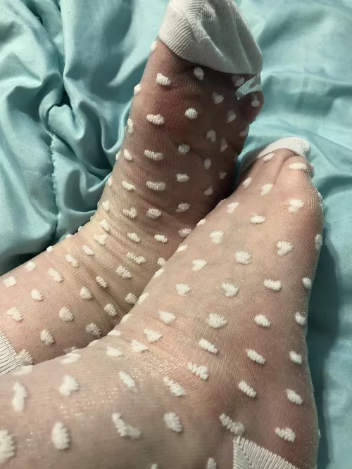Do you like see-through socks? (F)