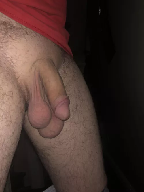 Do you prefer my cock or balls?
