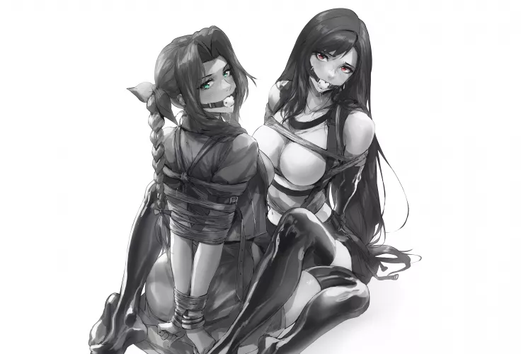 Don’t interrupt Tifa and Aerith