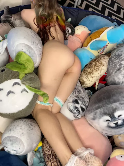 Don’t let the cute seal plushes distract you — focus on my cute little butt!