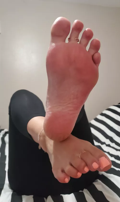 don't they look like sherbet ice cream...who wants a lick?