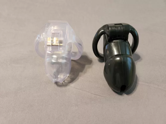 Downsized to a new cage. Old one got too big.