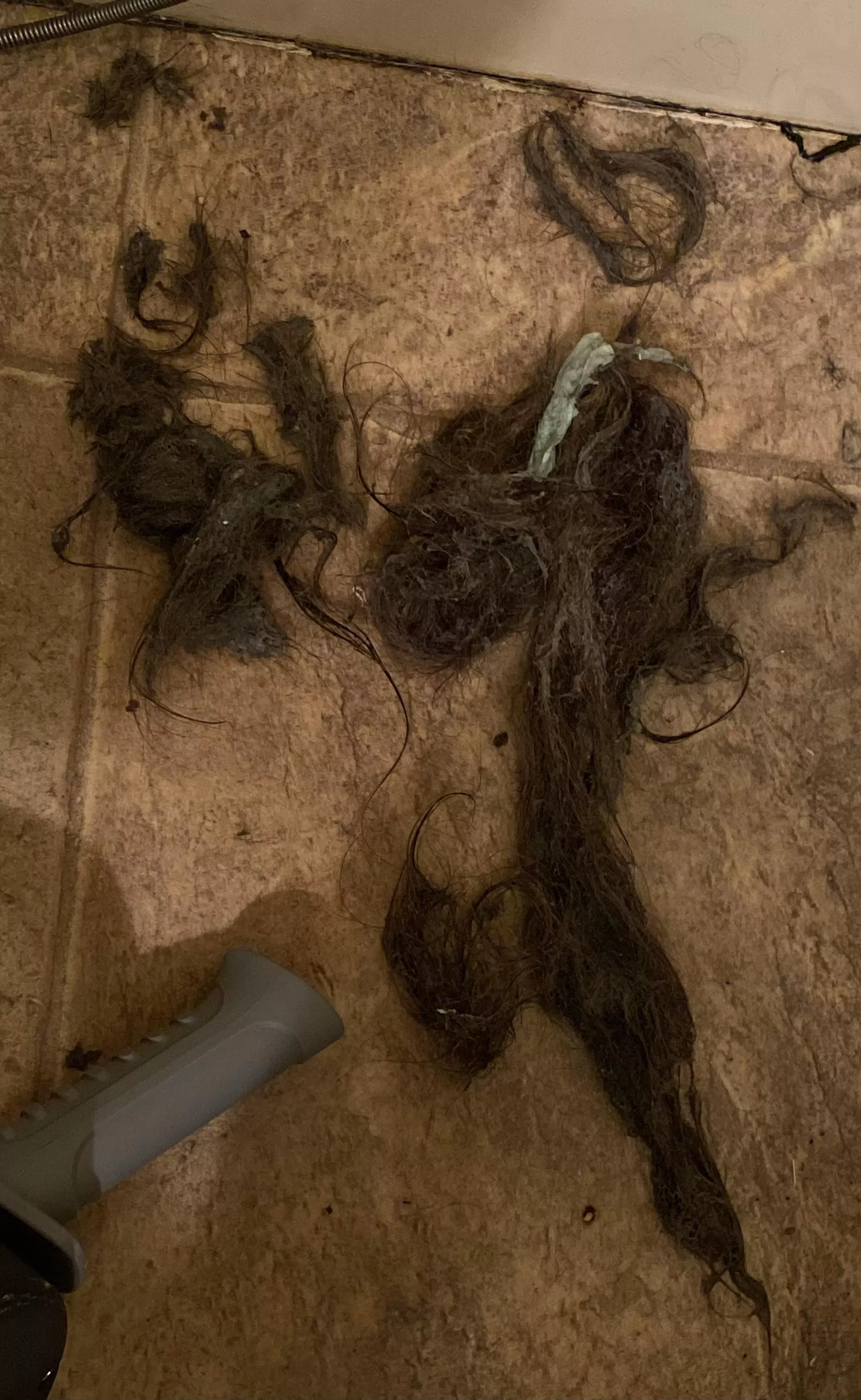 Drain was clogged, so I rage bought a drain auger and used all of the frustration in my 4’8” body to snake the drain myself. What came out was 6+ years of built up hair, soap scum, some sort of… gum? and plenty of weird grey juice (which some got i