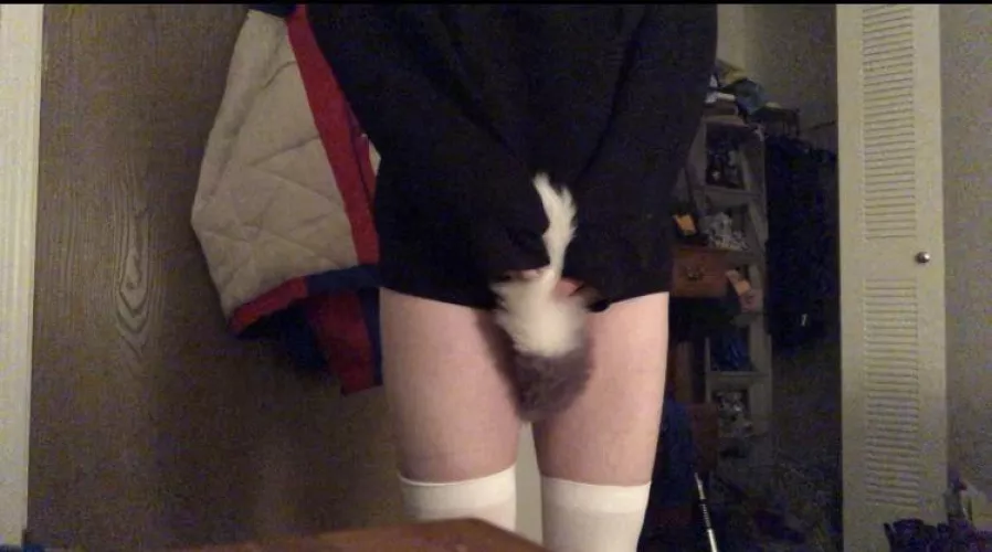 dumb kitty wants attention but is too shy to ask