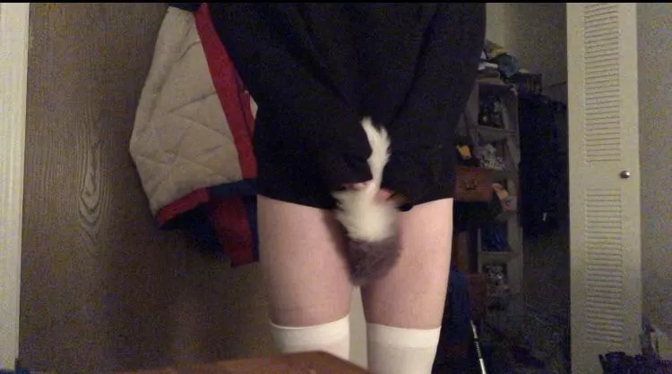 dumb kitty wants attention but is too shy to ask