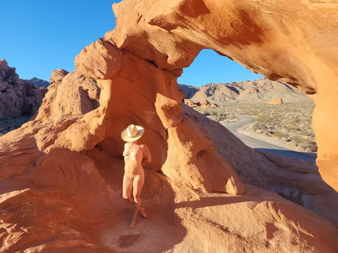 Early bird catches the warm... light🌞