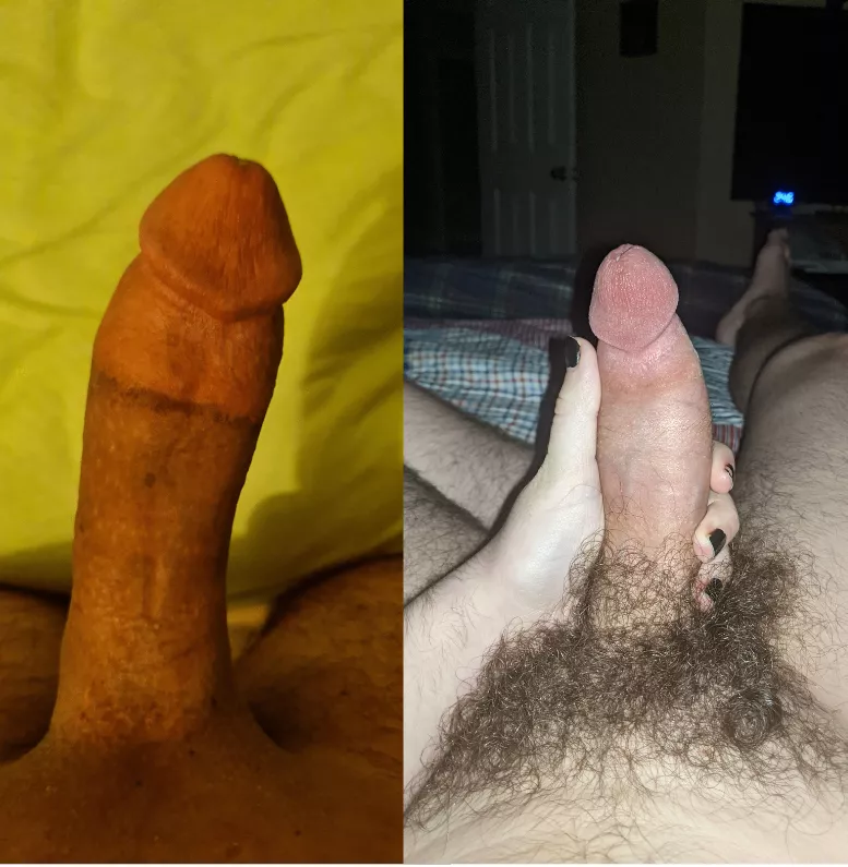 @Enthusiastforhentai finally put me in my place, DM to compare