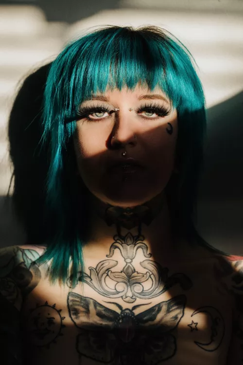 Evening sunbeams ☀️