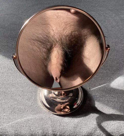 Excuse the wild bush