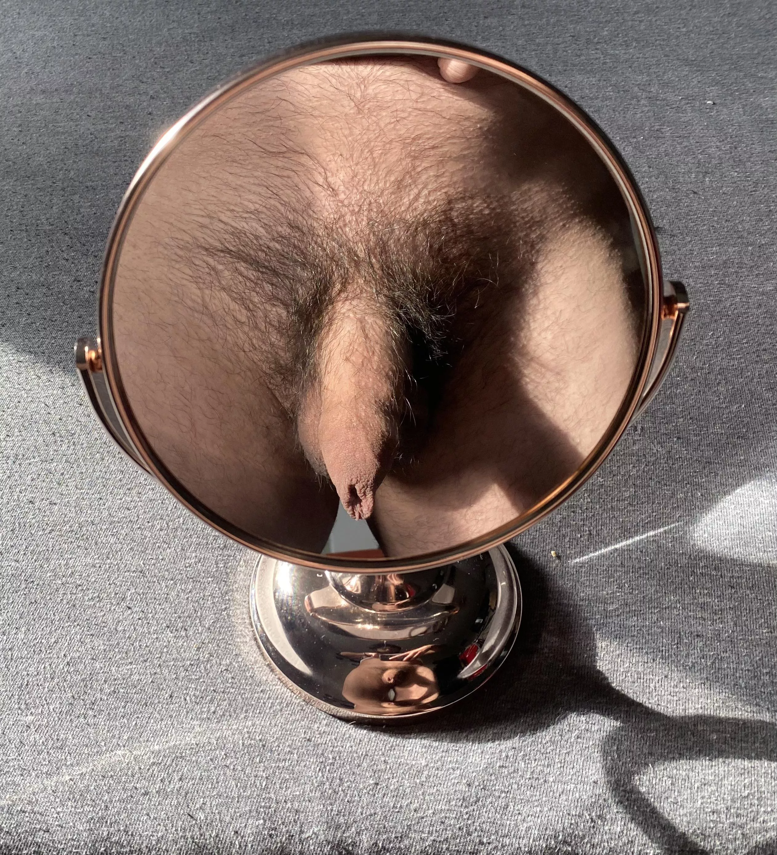 Excuse the wild bush