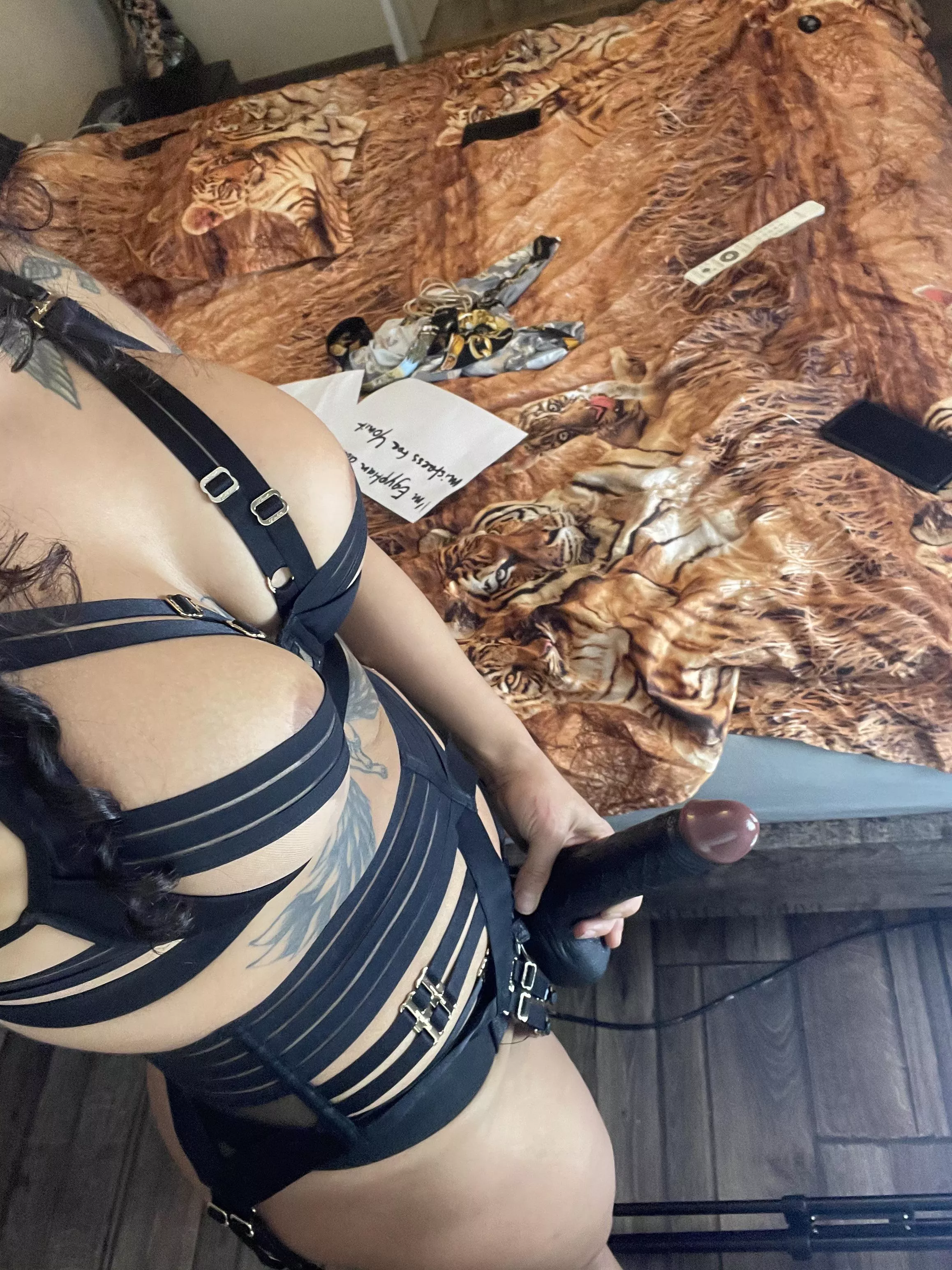 Feeling frisky… ready to be my little boy toy? Feeling frisky… ready to be my little boy toy?