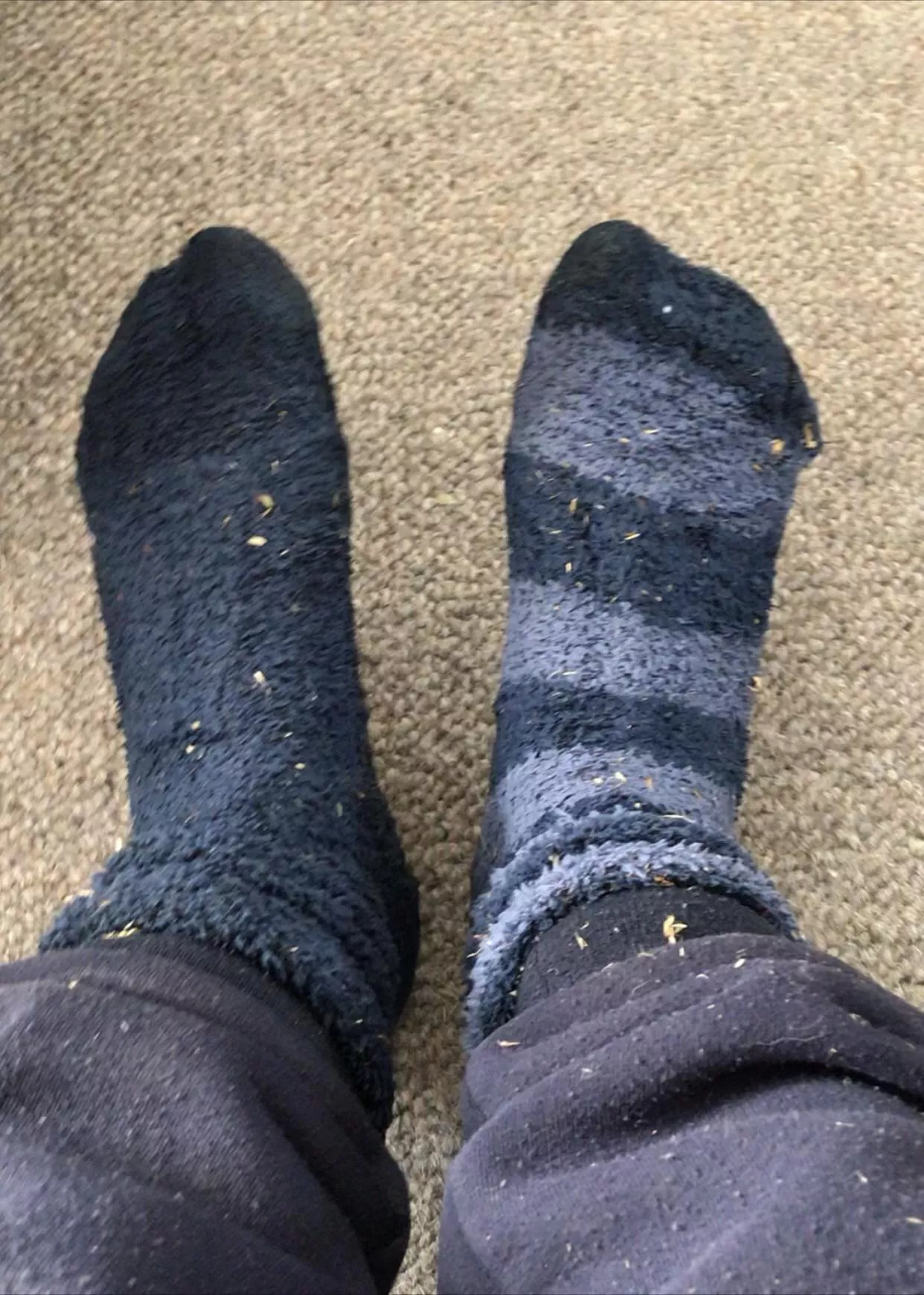 [female] The sweat and smell on these I’ve even had to bag them up there that bad best ones yet 😈